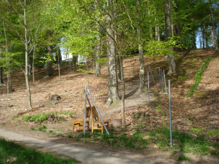 Beweidung “Bürgerpark Elsterstein“