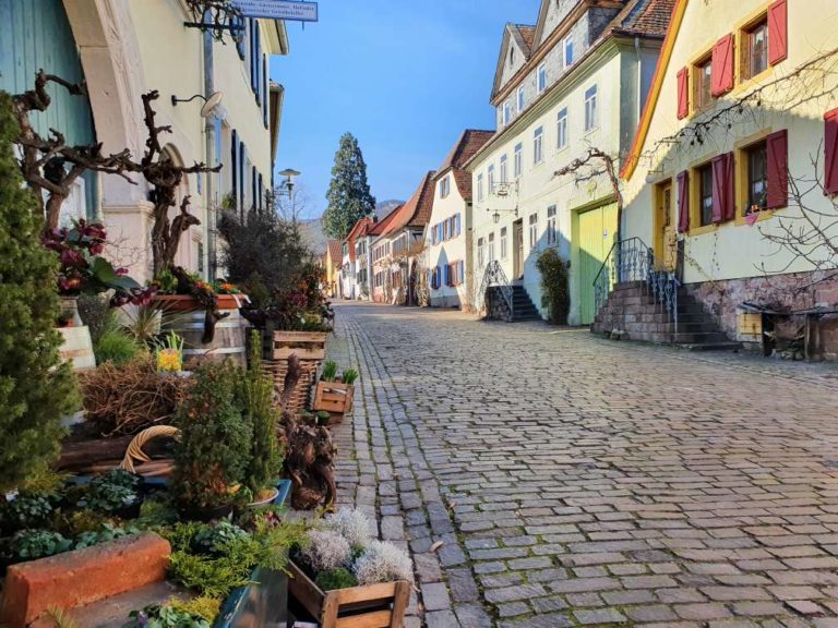 Bürgerfahrt nach Rhodt unter Rietburg zum Heimat- und Blütenfest