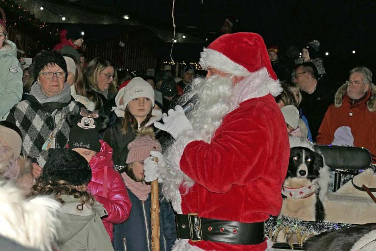 Der 43. Rohrbacher Weihnachtsmarkt in und um die Rohrbachhalle