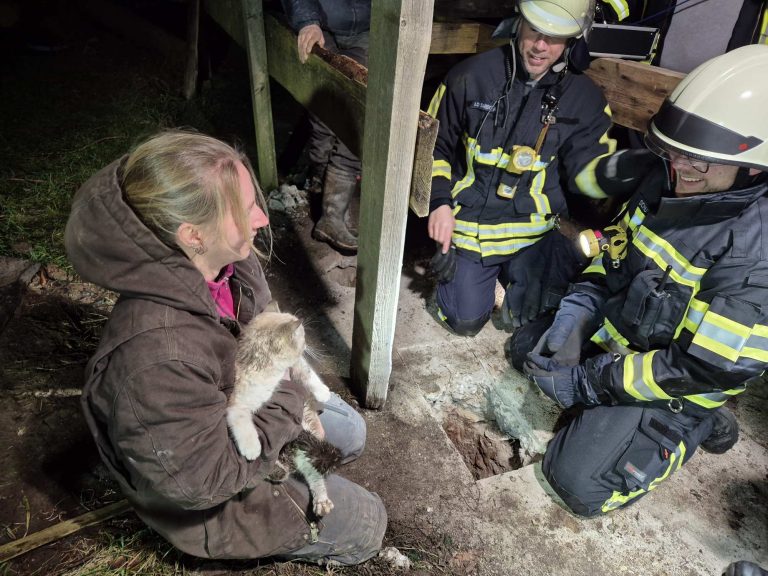 Feuerwehr rettet Katze aus Abwassersystem