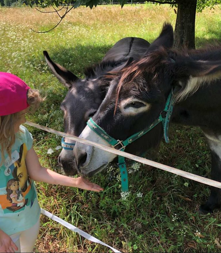 Fun Ferien Dengmert 2025 – Gesucht sind St. Ingberter Vereine, Verbände und Organisationen